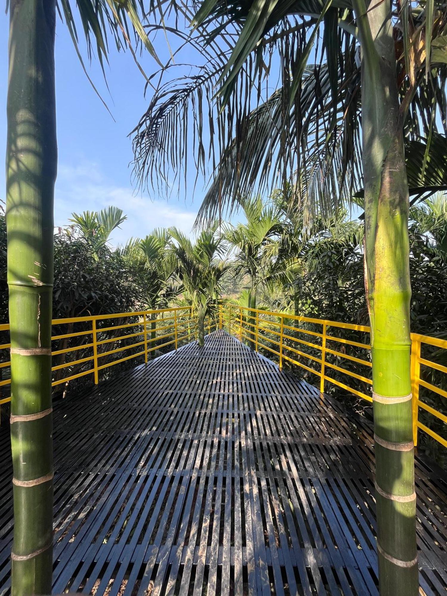 Gandhadagudi Nature Retreat Bengaluru Zewnętrze zdjęcie